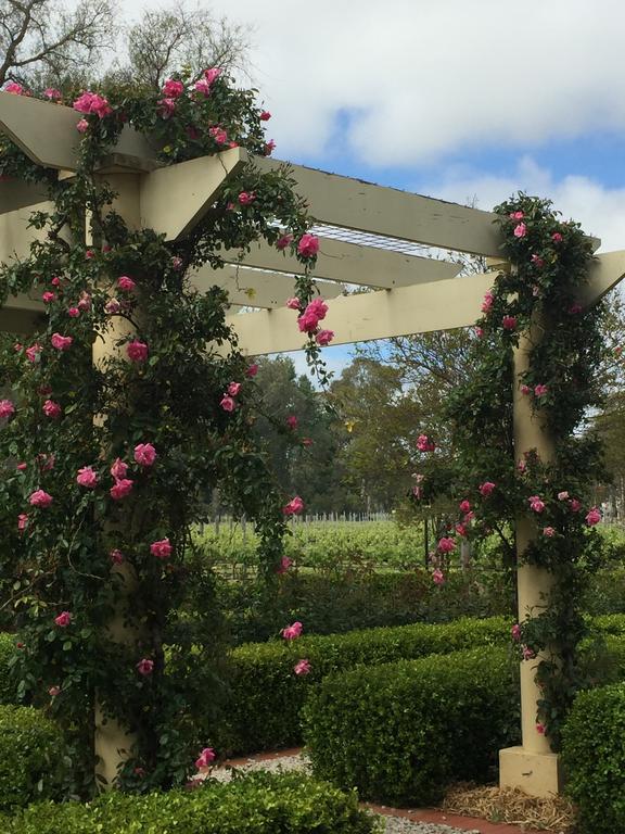 Barossa House Bed & Breakfast Tanunda Exterior foto