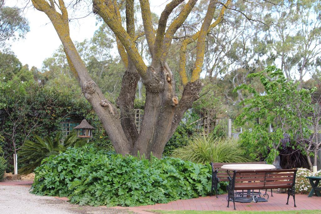 Barossa House Bed & Breakfast Tanunda Cameră foto