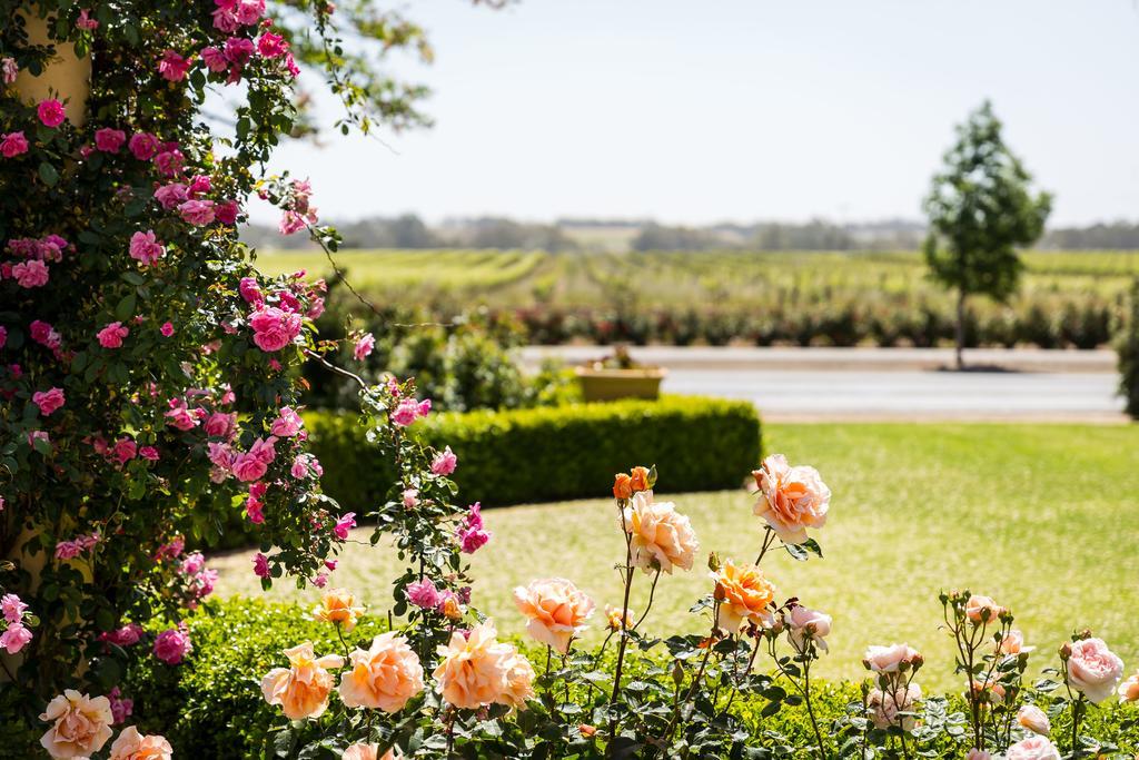 Barossa House Bed & Breakfast Tanunda Exterior foto