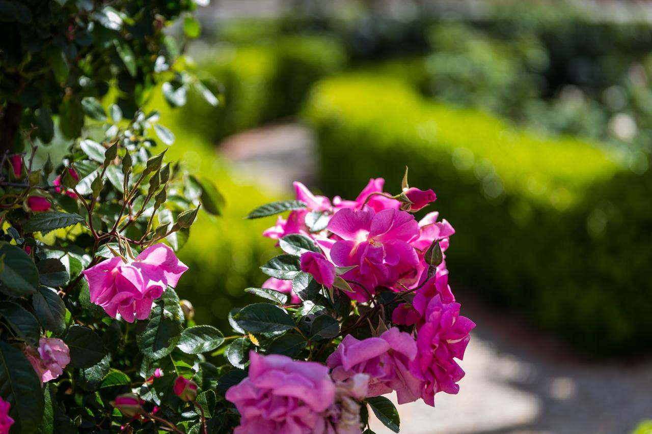 Barossa House Bed & Breakfast Tanunda Exterior foto