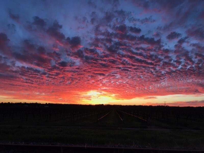 Barossa House Bed & Breakfast Tanunda Exterior foto