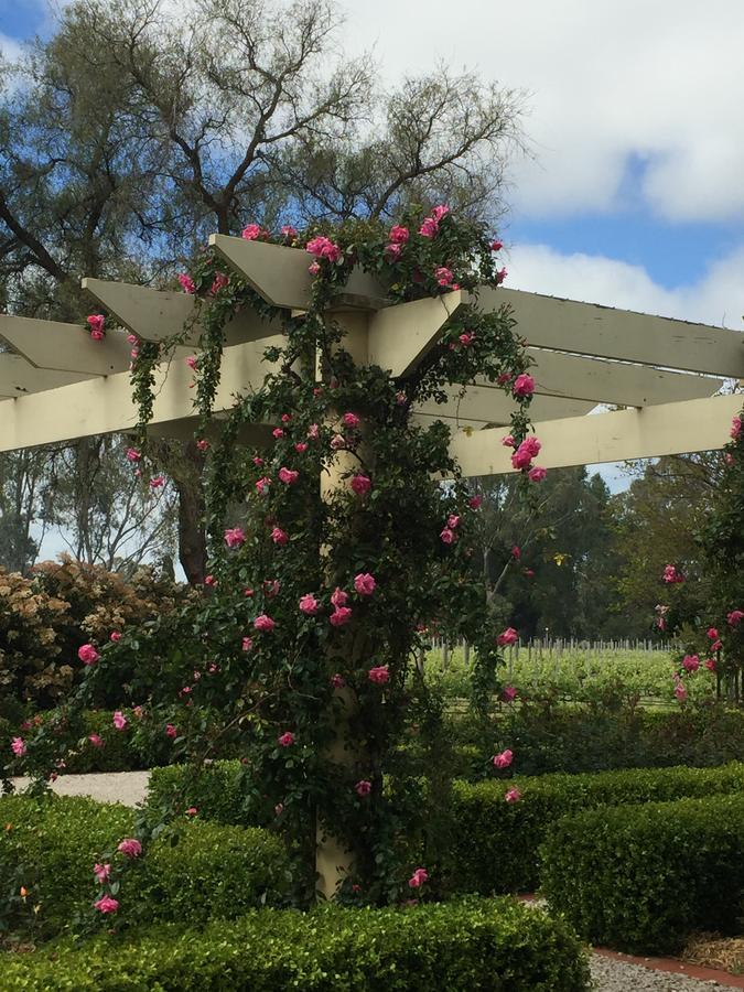 Barossa House Bed & Breakfast Tanunda Exterior foto