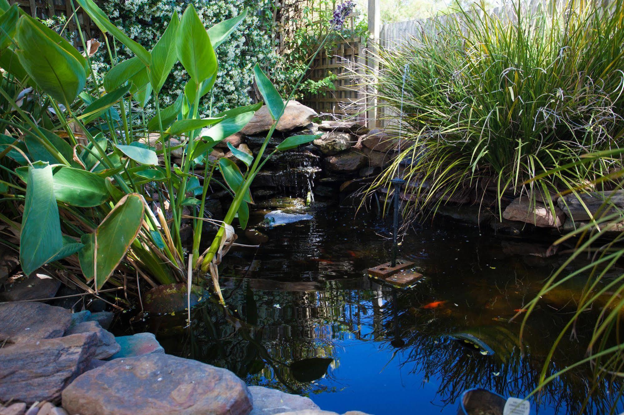 Barossa House Bed & Breakfast Tanunda Exterior foto
